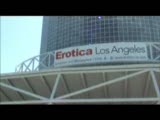 2008 Erotica LA Expo